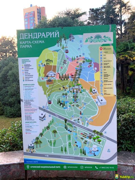 Дендрарий в Сочи: цены, официальный сайт, канатная дорога
