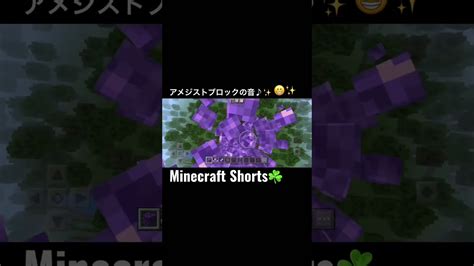 アメジストブロックの音♪minecraft Minecraftshorts Minecraftmemes マインクラフト マイクラ