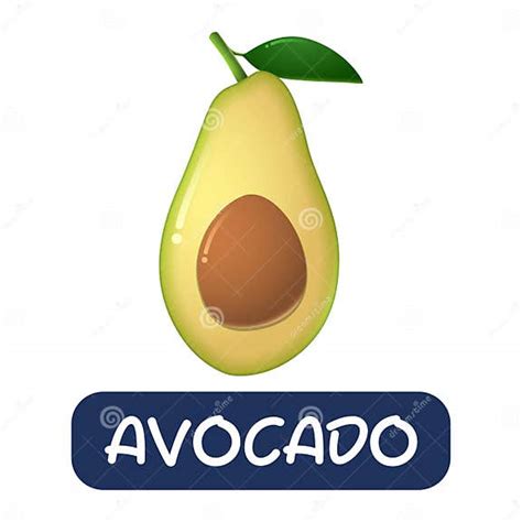 Vectores De Frutas Aguacate De Dibujos Animados Aislados En Fondo Blanco Ilustración Del Vector