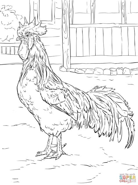 Printable Adult Coloring Pages Rooster Coloring Pages