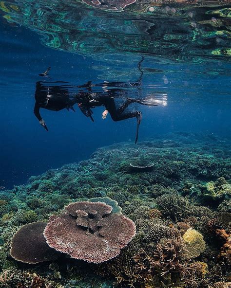 Potret Potret Pulau Kakaban Berau Nycnews