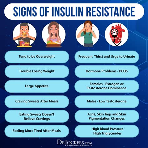 Leptin Resistance Symptoms Causes And Support Strategies