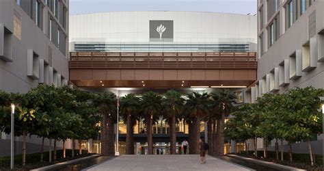 york university basatin