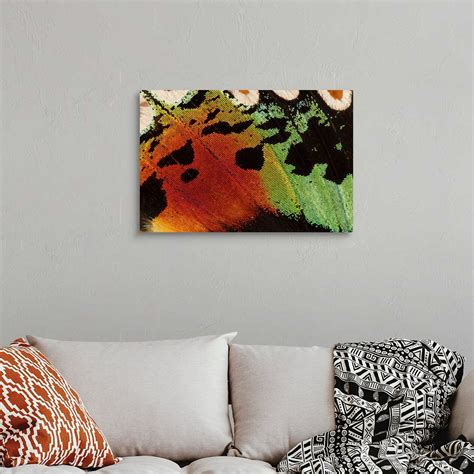 Madagascan Sunset Moth wing detail, Madagascar Wall Art, Canvas Prints ...