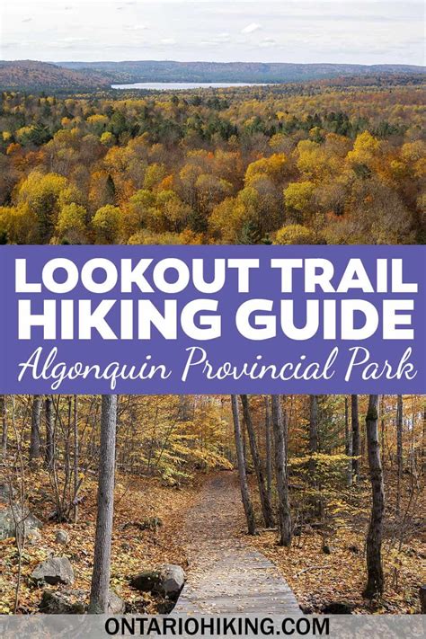 Lookout Trail Algonquin Park: A brief hike to a lookout point where you ...