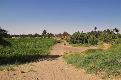 Premium Photo Nature In The Small Village On Nile River Sudan