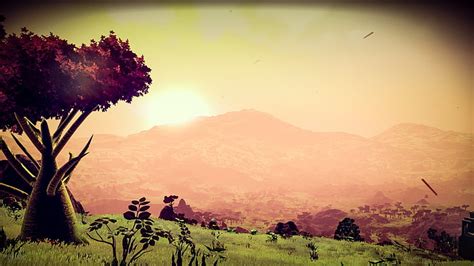 Videojuego No Man S Sky Fondo De Pantalla HD Wallpaperbetter