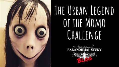 urban legend   momo challenge association  paranormal study