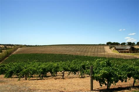 Barossa Valley（バロッサ・バレー） | Tell me Wine by Firadis