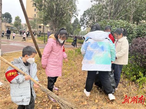 洋湖街道蓝天村：开展落叶清扫志愿服务活动 大城小巷 新湖南