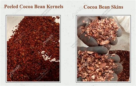 Kw Roasted Cocoa Bean Peeling Machine With Skin Collector