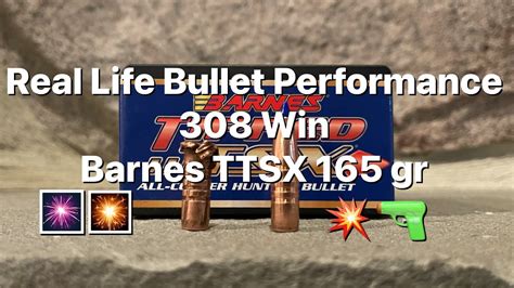 Real World Bullet Performance 308 Win Barnes Ttsx 165 Gr Youtube