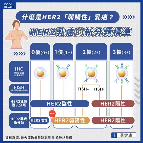 結合化療、標靶治療優點！ 1藥物精準治療her2「弱陽性」乳癌｜四季線上4gtv