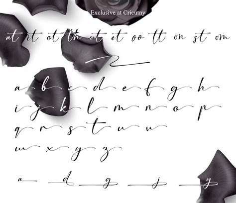 Calligraphy Font · Signature Font Cricutny