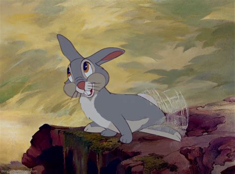 Thumper From Bambi Quotes. QuotesGram