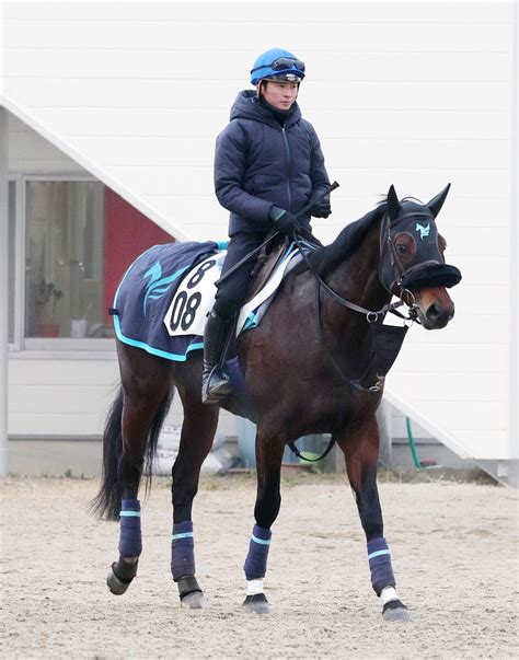 日曜の中京競馬場の注目激走馬中京11r・東海ステークス・g2 Umatoku 馬トク