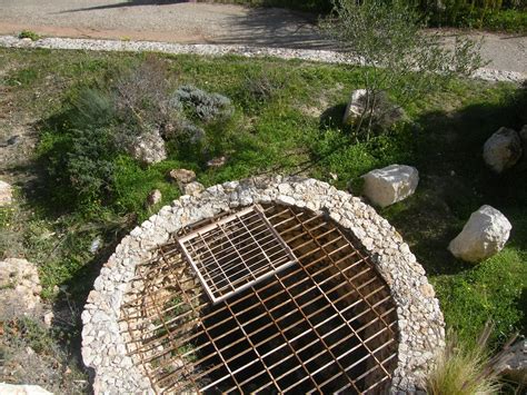 Yacimientos Arqueológicos de la Araña LA RECUPERACIÓN DEL COMPLEJO DEL