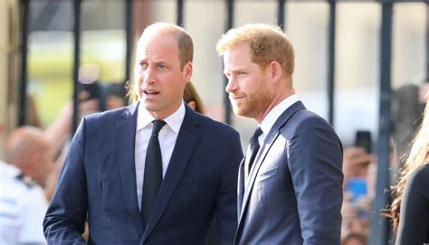 Prince William Wants To End Feud With Prince Harry For The Monarchy