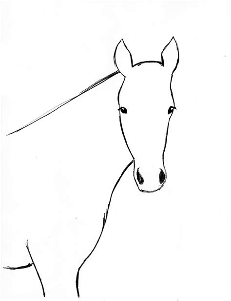 Horse Drawing Step By Step | Art Starts