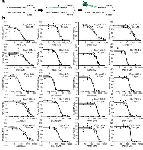 Figure From Identi Cation And Characterization Of Small Molecule