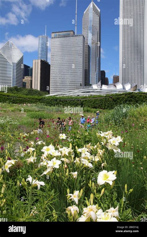 Millennium Park, Chicago Stock Photo - Alamy