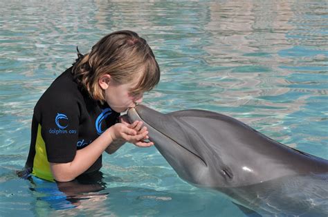 The Baima Family Blog: Swimming with Dolphins