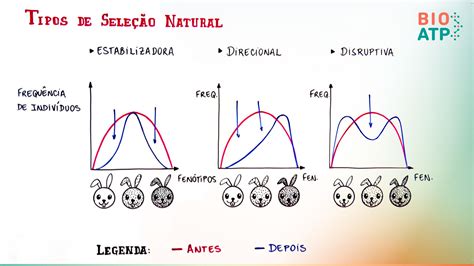 Mapa Mental Seleção Natural Librain