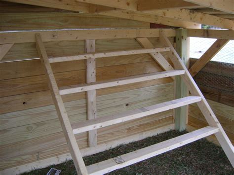 Roosting Perch In Chicken Coop At Darius Holiman Blog