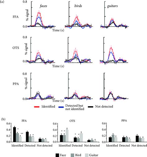 8 Activation In The Fusiform Face Area FFA Occipitotemporal Sulcus