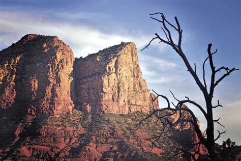 Free Picture Rocks Sandstone Silhouette Sky Branches Canyon