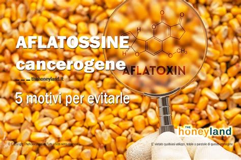 Aflatossine In Alimenti Come Proteggersi Dal Pericolo Cancerogeno