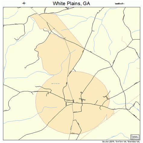 White Plains Georgia Street Map 1382692