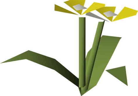 Yellow Flowers 2024 Pride Event Osrs Wiki