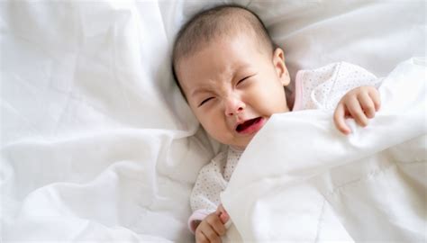 Sleep Training Your Baby: What Parents Need To Know | WonderBaby.org