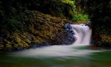 Curug Putri Kencana Pesona Air Terjun Kolam Alami Eksotis Di Bogor