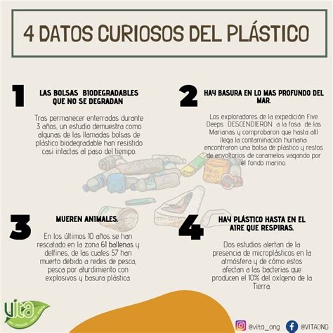 Marchitar Bolsillo Rodear Datos Sobre Las Bolsas De Plastico Alto Museo