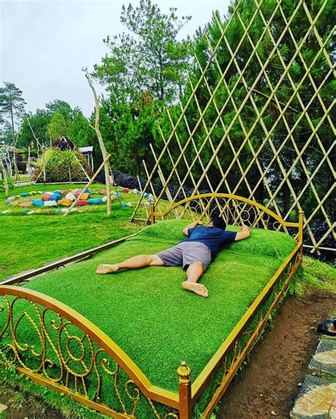 A Man Laying On Top Of A Lush Green Field Next To A Wooden Bed Frame