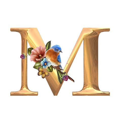 decorative letter   bird  flowers