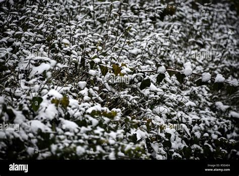 Berlin in the snow hi-res stock photography and images - Alamy