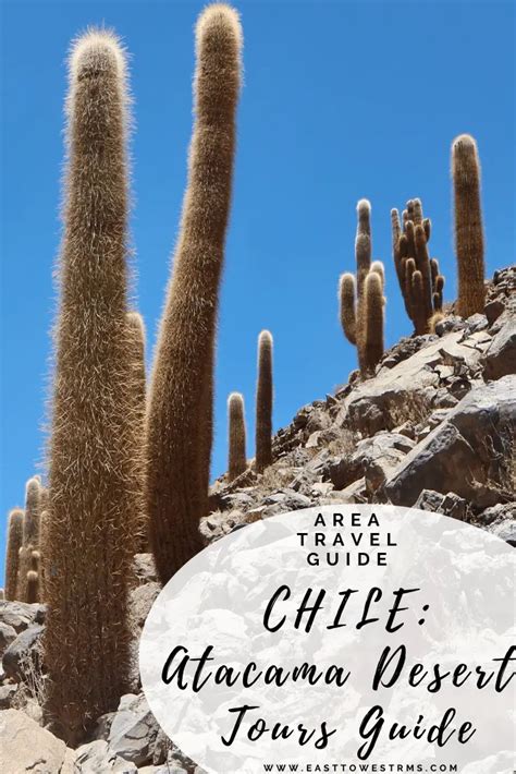 A GUIDE TO CHILE'S ATACAMA DESERT TOURS: THE BEST THINGS TO DO WHEN ...