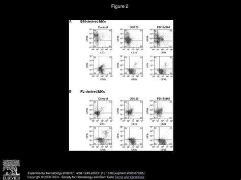 Critical Role For Erk1 2 In Bone Marrow And Fetal Liver Derived Primary Megakaryocyte