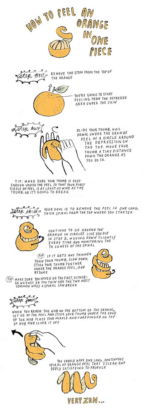 How To: Peel An Orange In One Piece | Bit Rebels