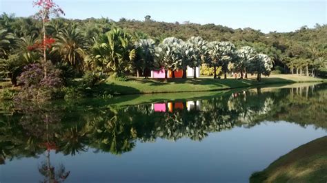 Arquitetura E Arte Um Olhar Sobre O Instituto Inhotim