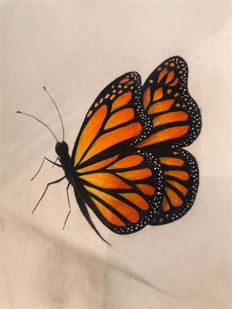 Dibujo De Mariposa Butterfly Art Drawing Butterfly Drawing