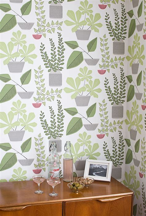 House Plants Wallpaper | MissPrint