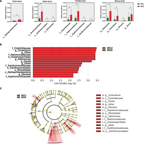 Frontiers Differences In Clinical Features And Gut Microbiota Between Individuals With