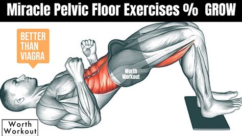 Miracle Pelvic Floor Exercises To Increase Blood Flow In Your Groin