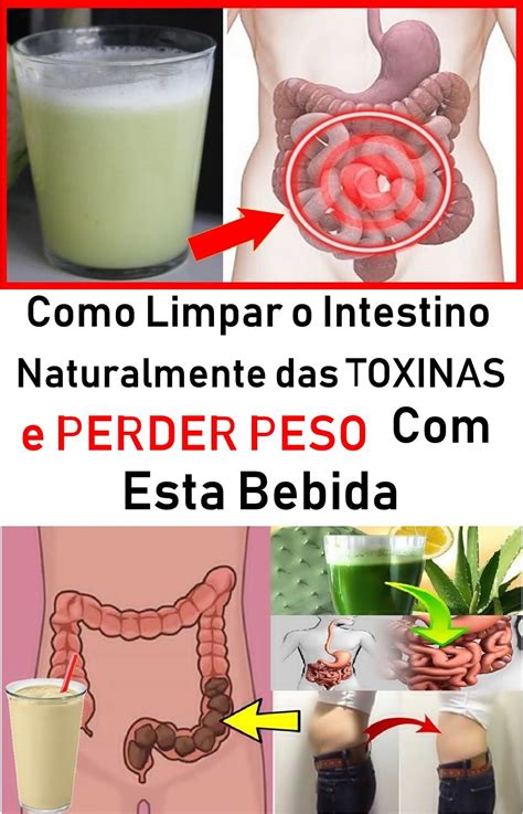 Como Limpar O Intestino Naturalmente Das Toxinas E Perder Peso Esta