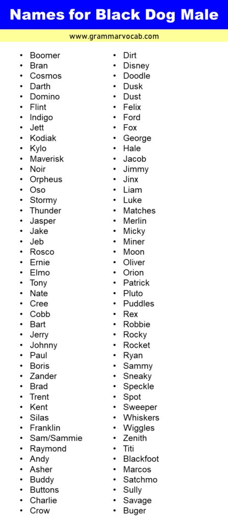 List of Male Black Dog Names - GrammarVocab