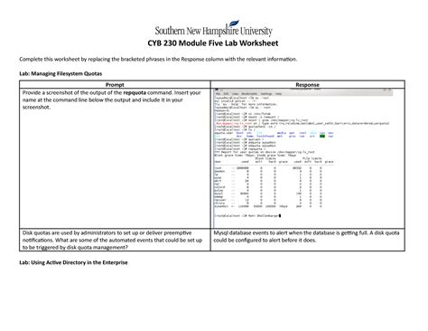 CYB 230 Module Five Lab Worksheet Matt Shellenbarger CYB 230 Module